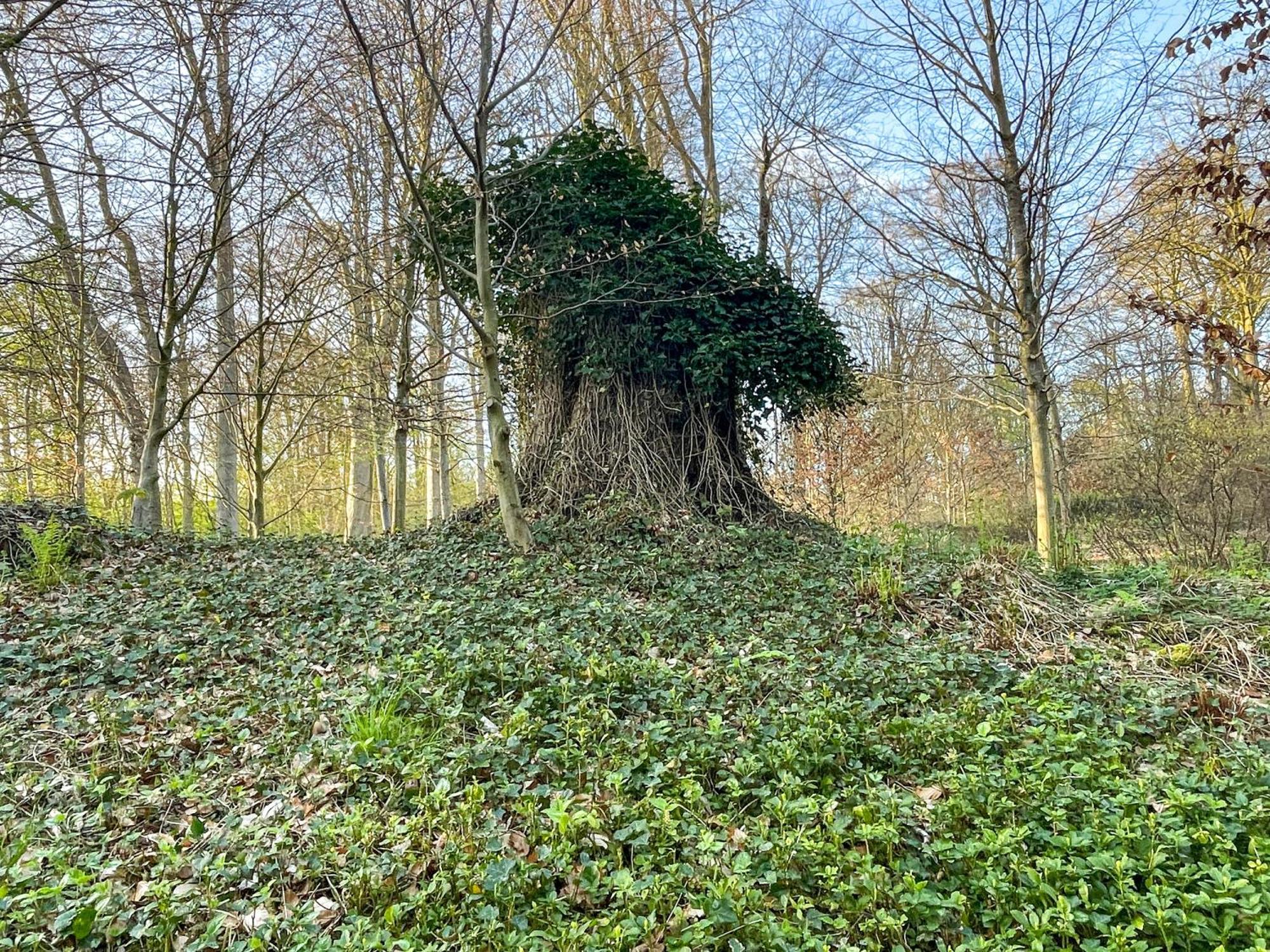 Landhaus Beim Knoops Park BRE Exterior foto
